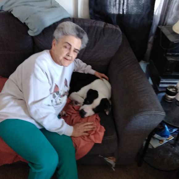 Meet your Posher, Laurie - Picture 1 of 1